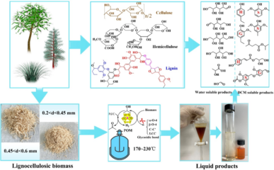 華南理工付時雨團隊Bioresour. Technol. 溫和條件下以Pd和雜多酸將生物質解構為木質素油和平臺化學品