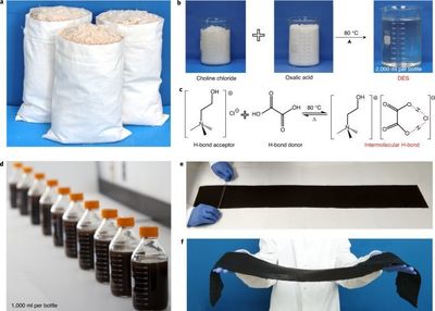 科學家將木材變成可回收、可降解的塑料制品