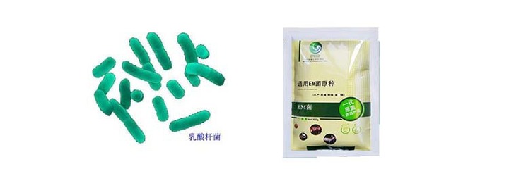em菌 哪兒有賣養殖動物使用的益生菌產品