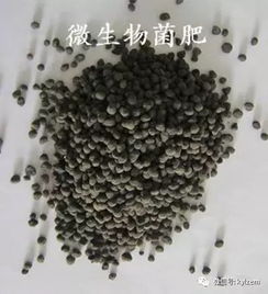 微生物肥料與微生物菌劑的區(qū)別和聯系