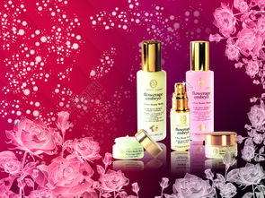 精品化妝品海報矢量圖免費下載 psd格式 編號13845639 千圖網