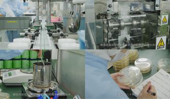 日本娜麗絲的櫻花約定,帶你看懂日本知名化妝品品牌娜麗絲的前世今生