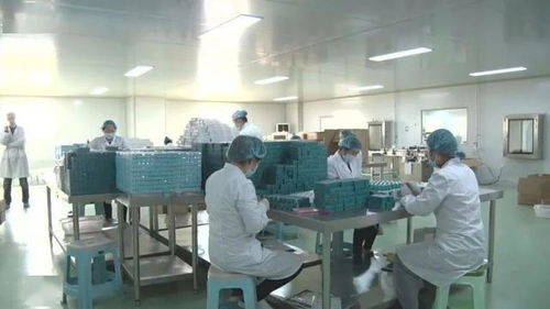 扶貧車間轉型促進就業脫貧